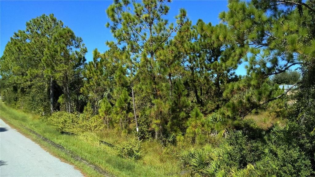 待售: $39,900 (0.23 acres)