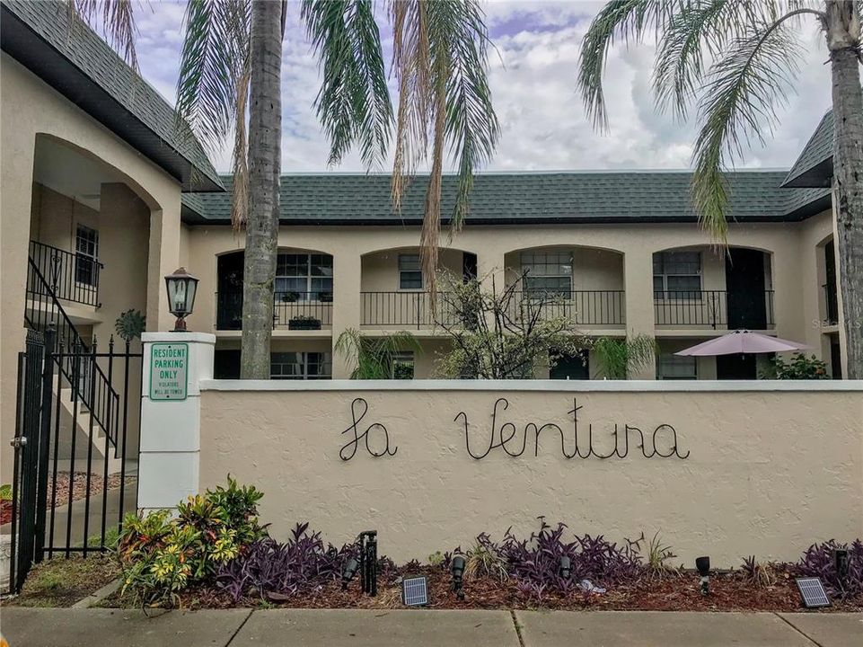 出租: $1,300 (1 贝兹, 1 浴室, 598 平方英尺)