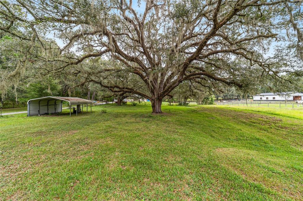 For Sale: $359,900 (3 beds, 2 baths, 1640 Square Feet)