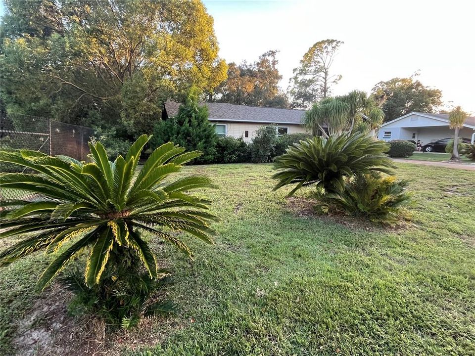 For Sale: $249,000 (3 beds, 2 baths, 1320 Square Feet)