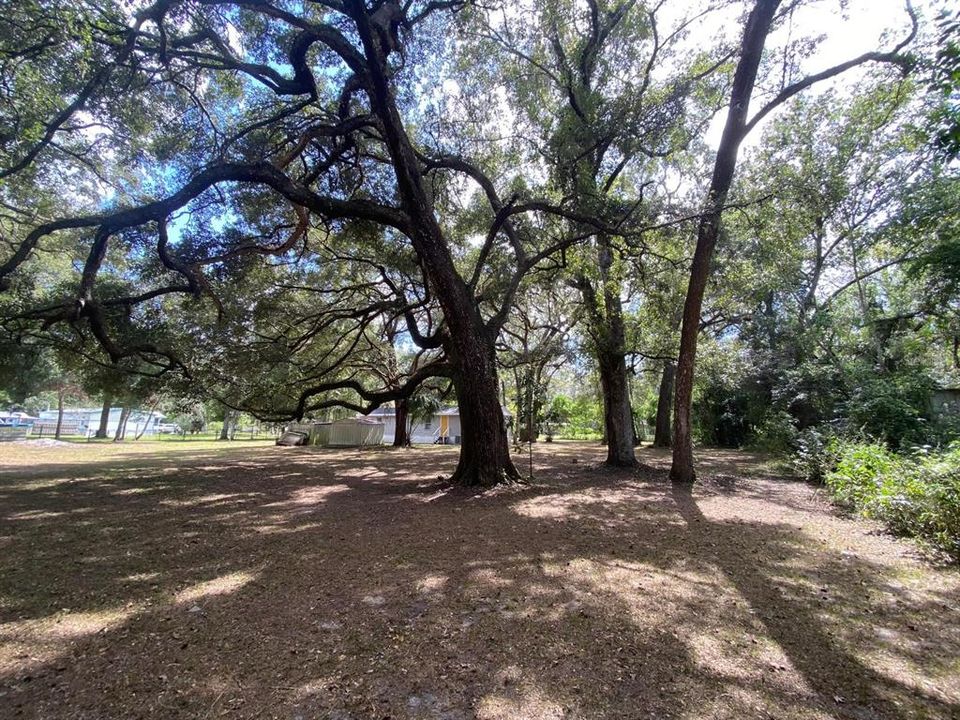 En Venta: $182,900 (2 camas, 2 baños, 784 Pies cuadrados)