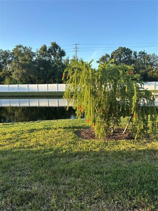 For Rent: $2,950 (3 beds, 2 baths, 1753 Square Feet)