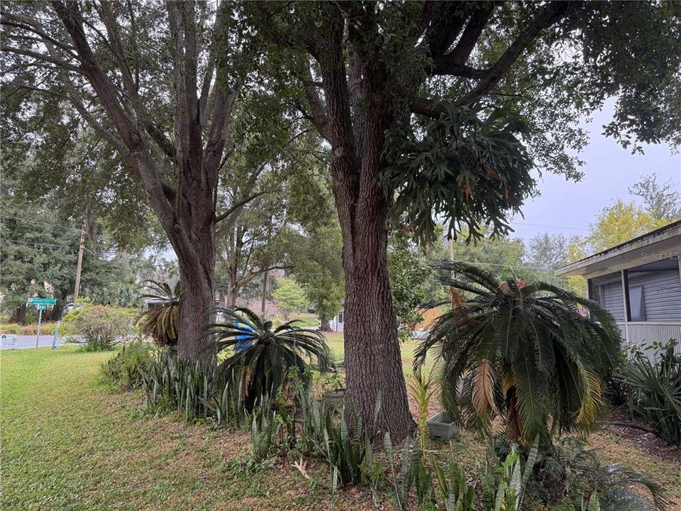 For Sale: $268,900 (3 beds, 2 baths, 1747 Square Feet)