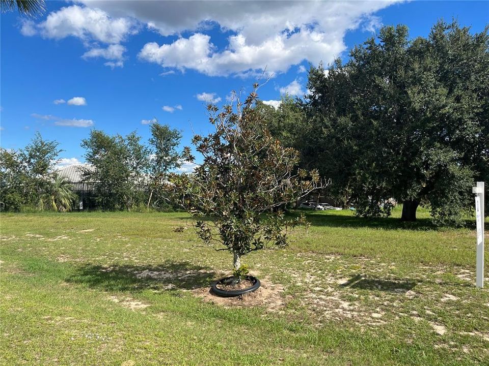 En Venta: $165,000 (0.73 acres)