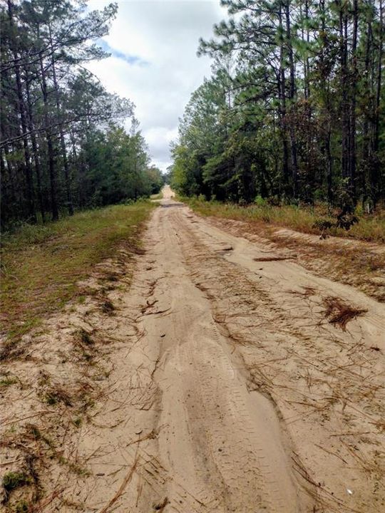 待售: $32,000 (0.21 acres)