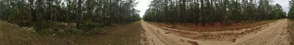 待售: $32,000 (0.21 acres)