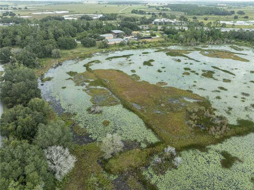 На продажу: $500,000 (42.97 acres)