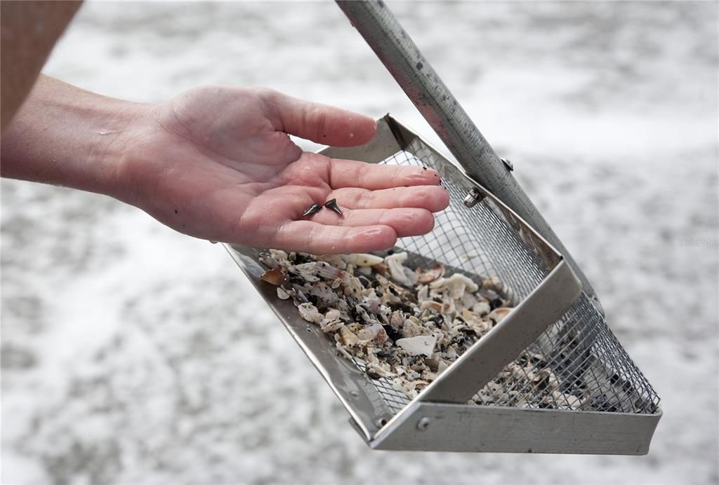 合同活跃: $175,000 (2 贝兹, 2 浴室, 1062 平方英尺)