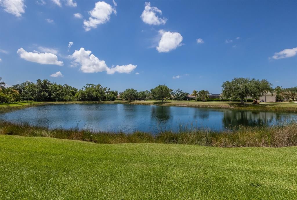 待售: $999,000 (4 贝兹, 3 浴室, 3586 平方英尺)