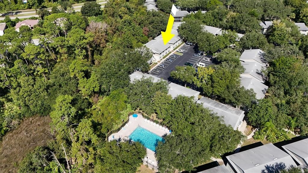 For Sale: $240,000 (2 beds, 2 baths, 902 Square Feet)