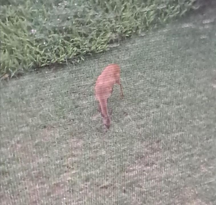 For Sale: $240,000 (2 beds, 2 baths, 902 Square Feet)