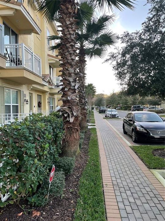 出租: $2,499 (3 贝兹, 3 浴室, 1989 平方英尺)