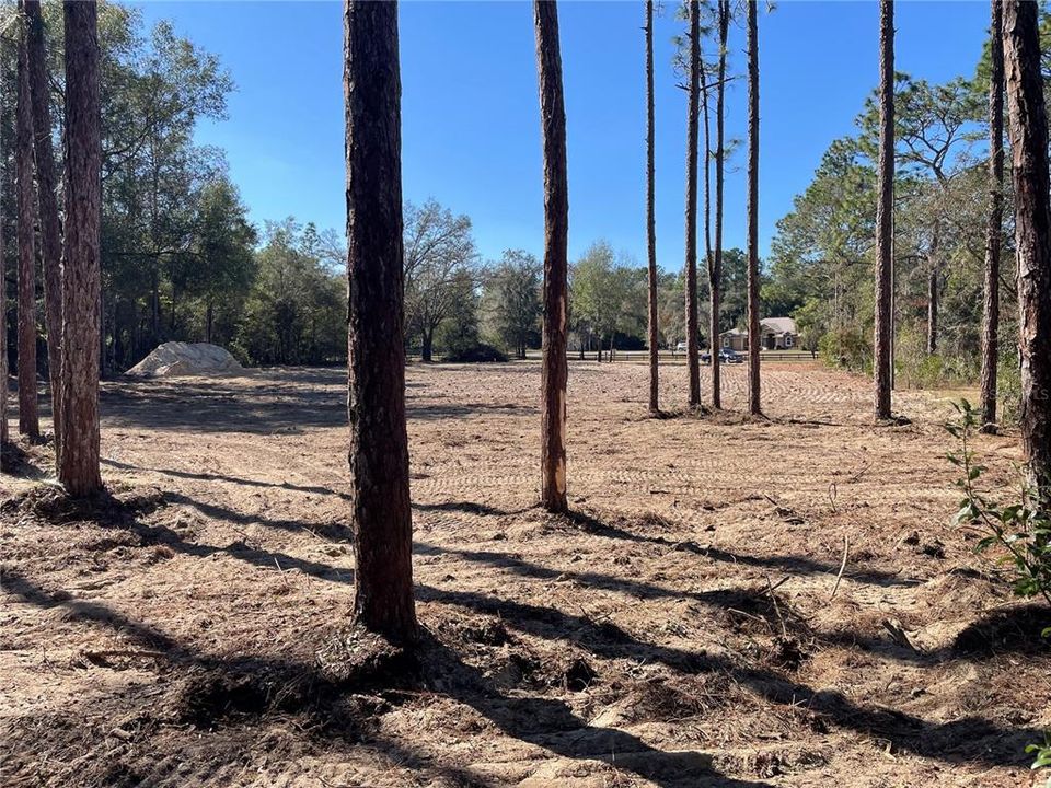 待售: $525,000 (4 贝兹, 3 浴室, 2621 平方英尺)