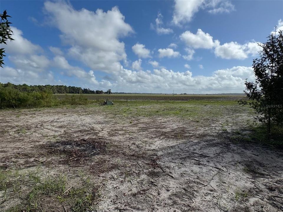 For Sale: $149,000 (0.39 acres)