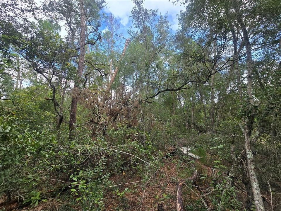 En Venta: $25,000 (0.23 acres)