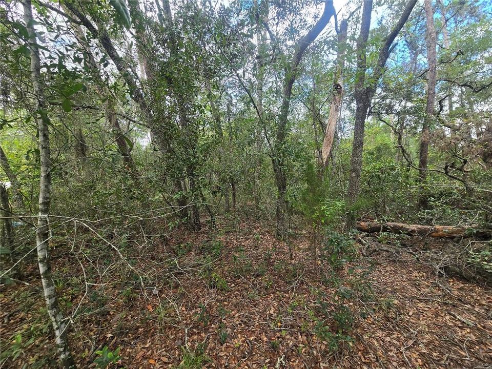 En Venta: $25,000 (0.23 acres)