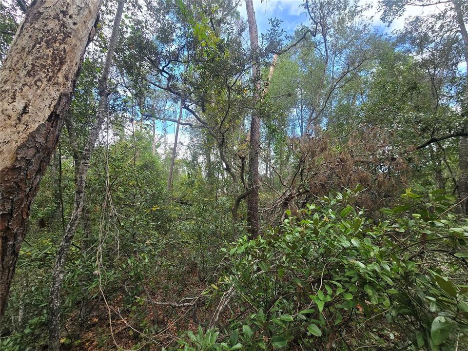 En Venta: $25,000 (0.23 acres)