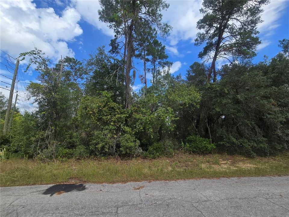 待售: $25,000 (0.23 acres)