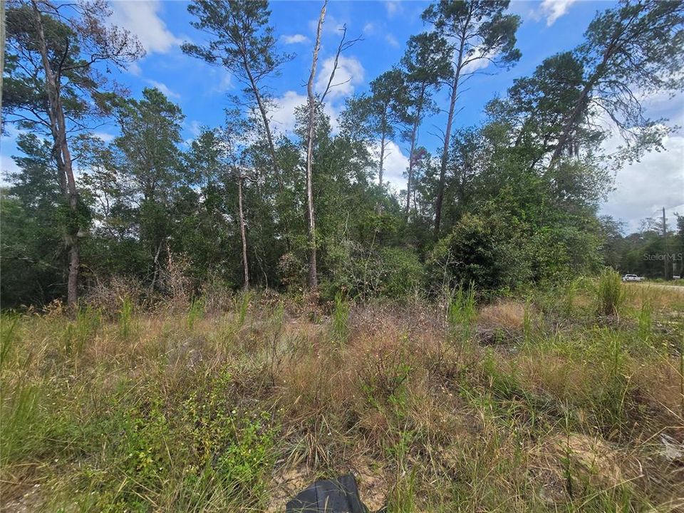 待售: $25,000 (0.23 acres)