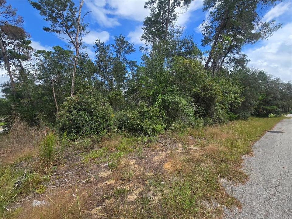 待售: $25,000 (0.23 acres)