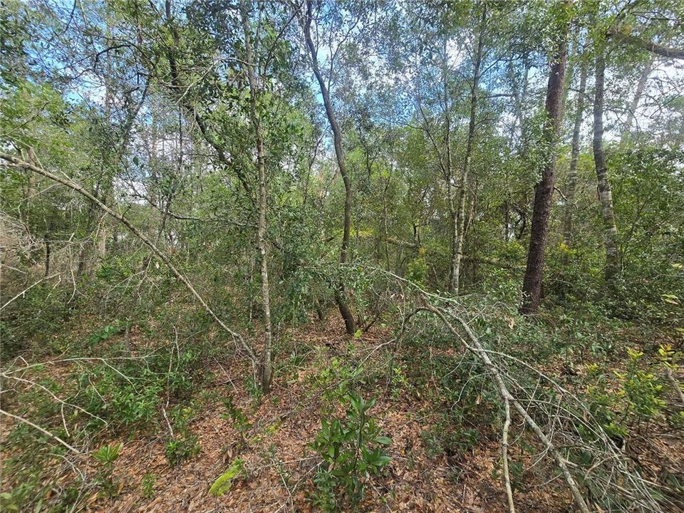 待售: $25,000 (0.23 acres)