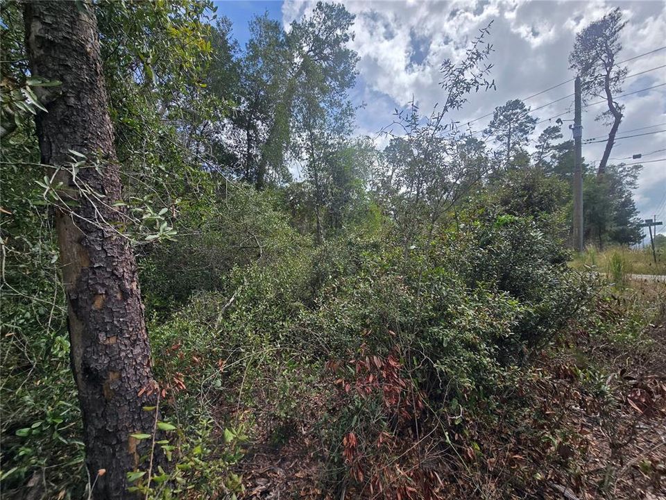 待售: $25,000 (0.23 acres)