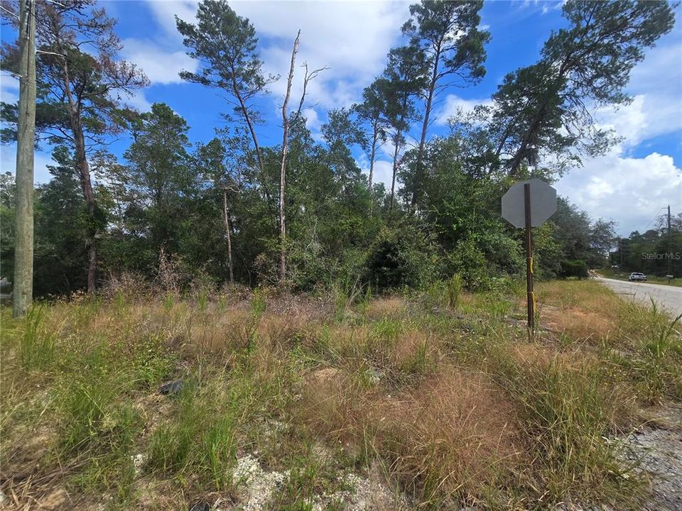 待售: $25,000 (0.23 acres)