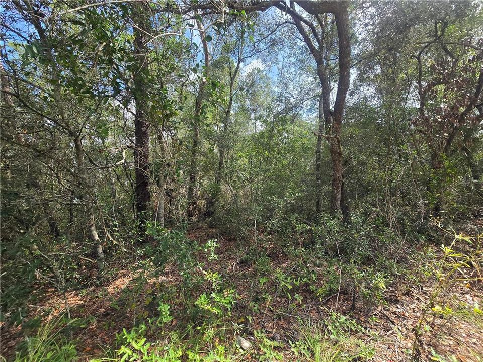 待售: $25,000 (0.23 acres)