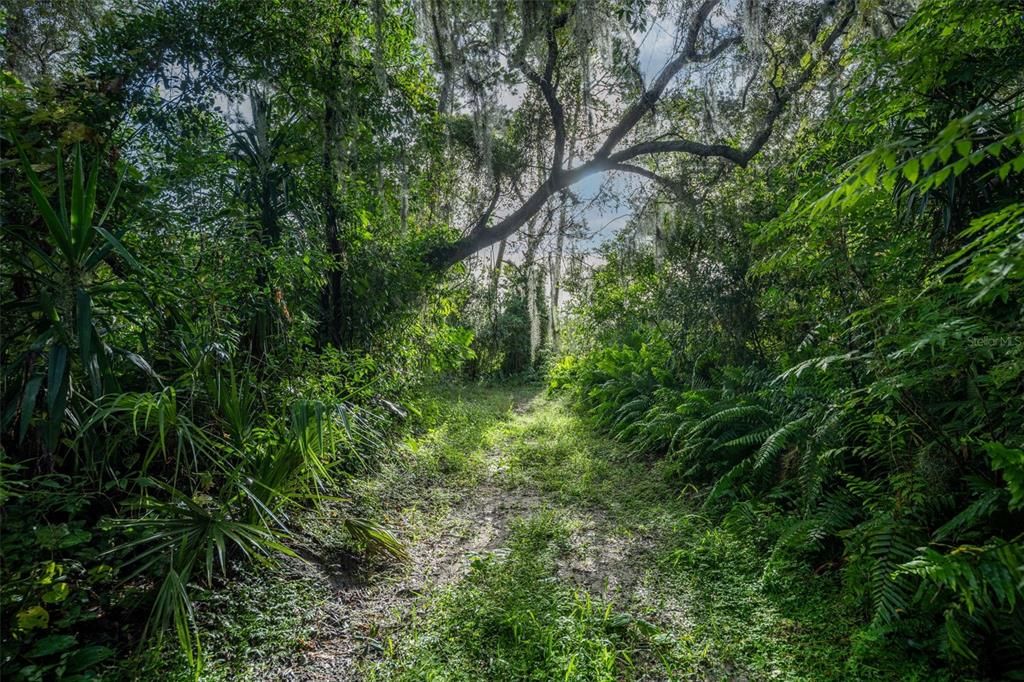 待售: $74,900 (0.49 acres)