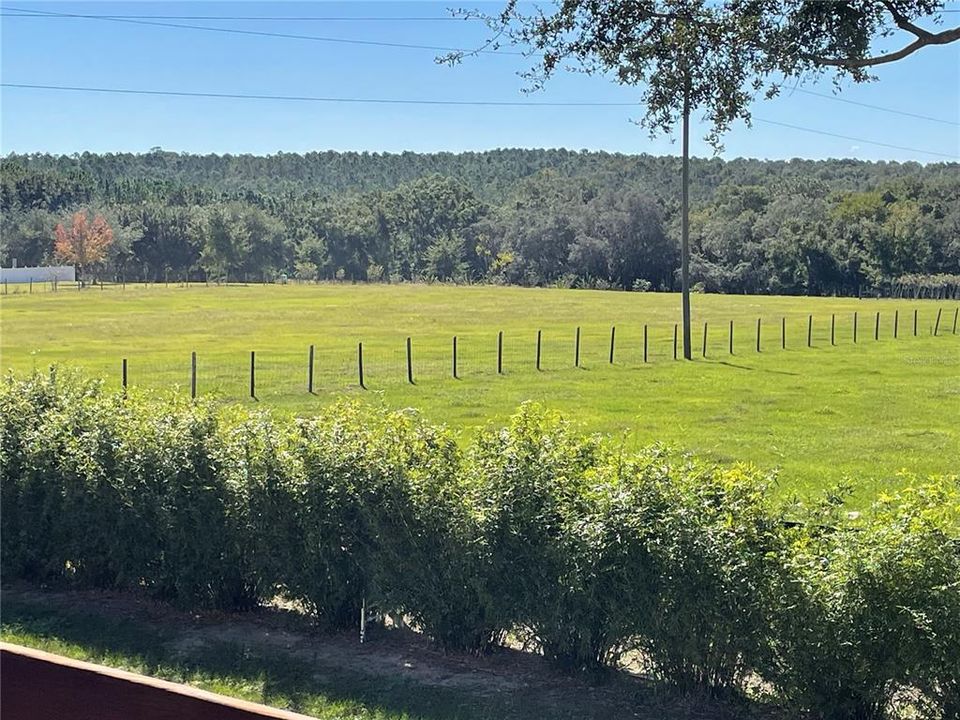 待售: $1,200,000 (3 贝兹, 2 浴室, 2554 平方英尺)