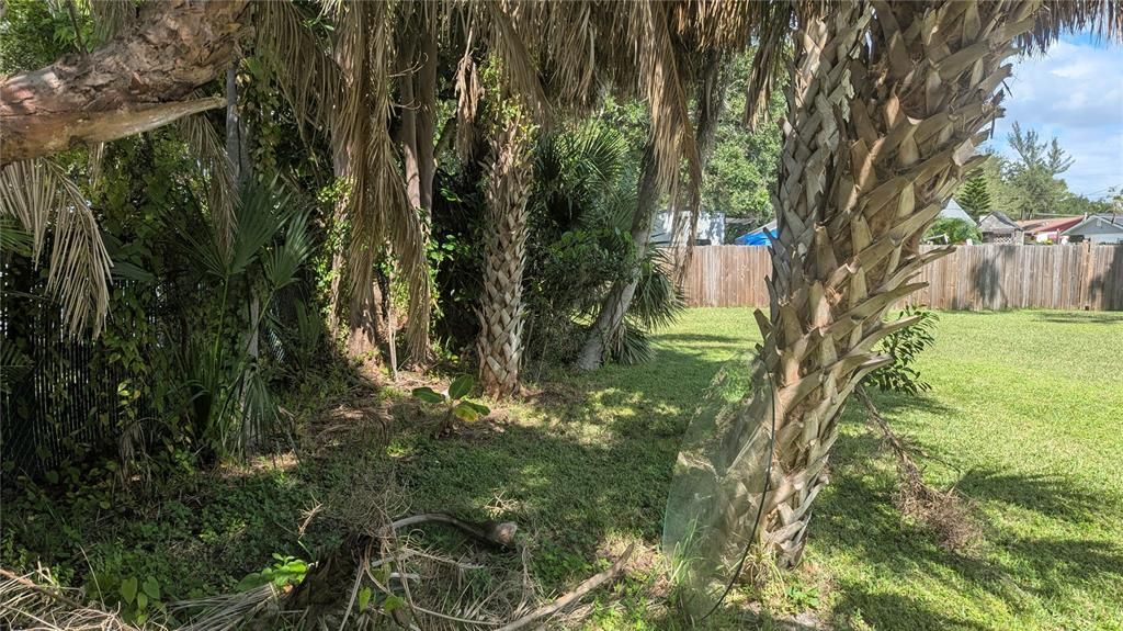 Activo con contrato: $235,000 (0 camas, 0 baños, 900 Pies cuadrados)