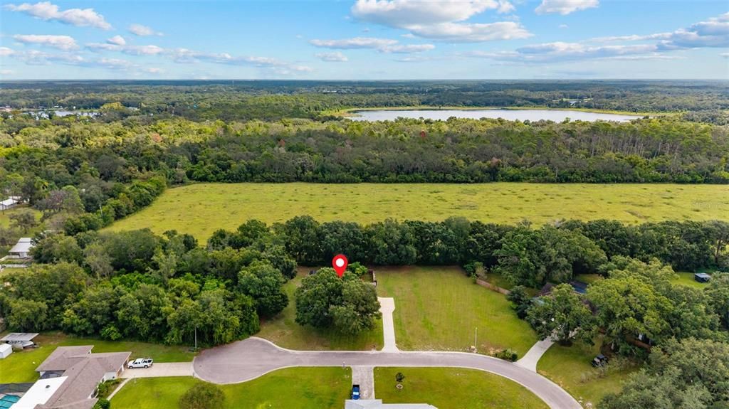 For Sale: $950,000 (3 beds, 3 baths, 2390 Square Feet)