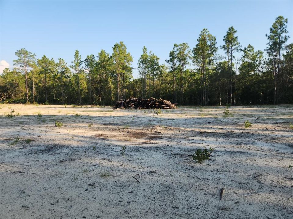 For Sale: $85,000 (1.16 acres)