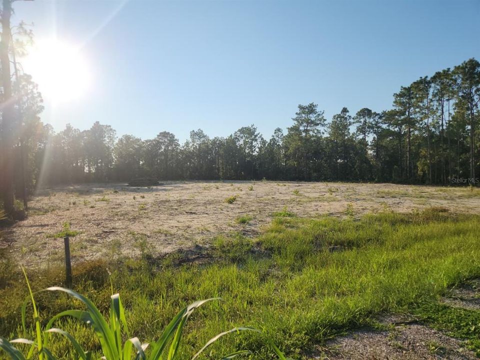 For Sale: $85,000 (1.16 acres)