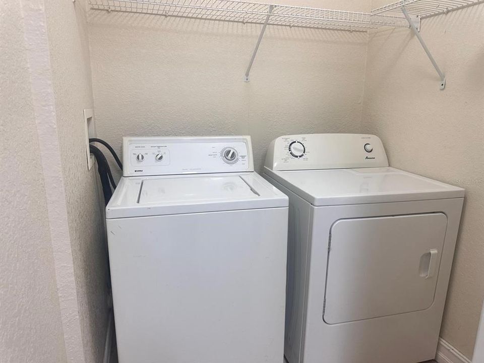 出租: $1,350 (1 贝兹, 1 浴室, 768 平方英尺)