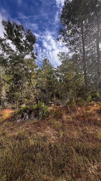 For Sale: $49,900 (0.58 acres)