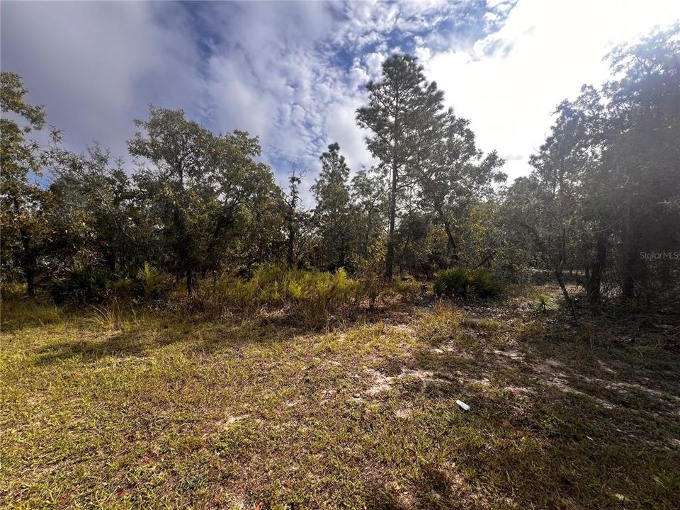 For Sale: $49,900 (0.58 acres)