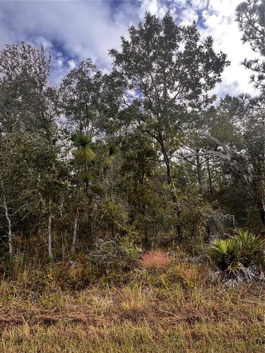 For Sale: $49,900 (0.58 acres)