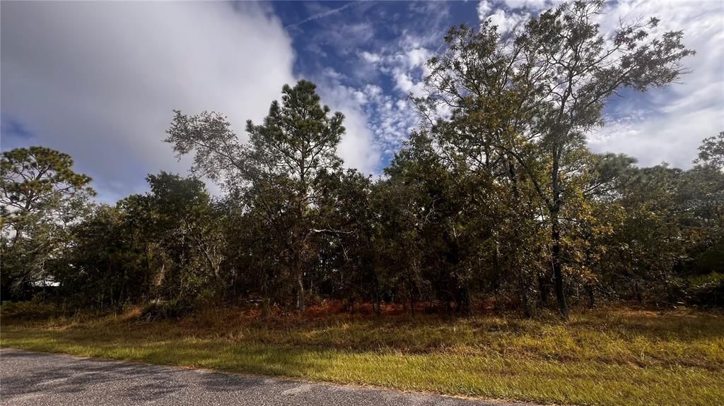 For Sale: $49,900 (0.58 acres)