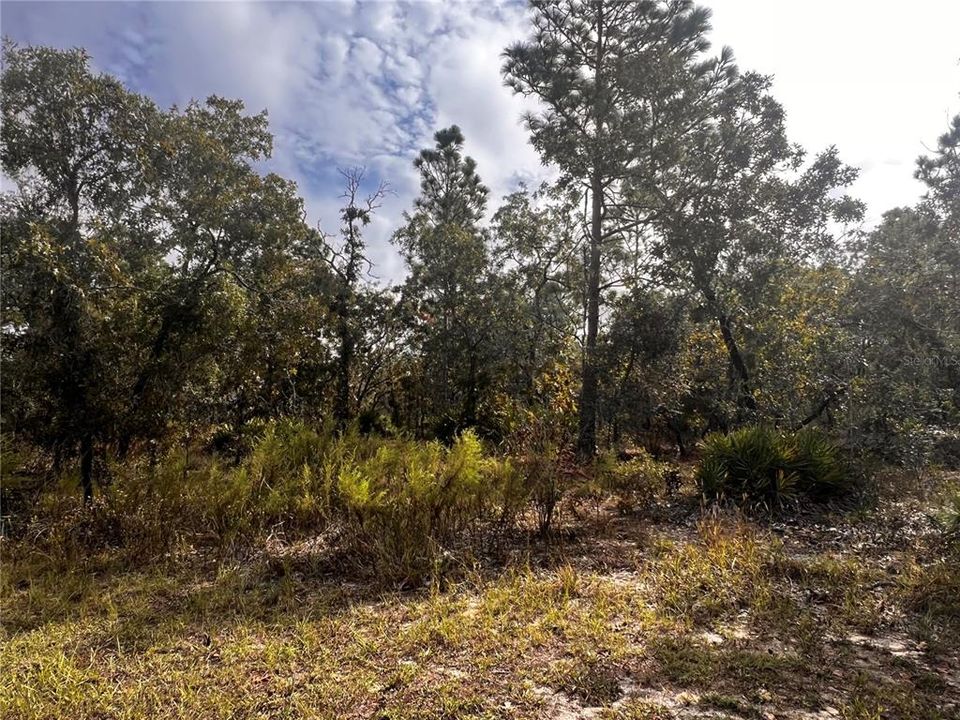 For Sale: $49,900 (0.58 acres)