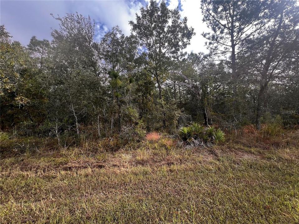 For Sale: $49,900 (0.58 acres)