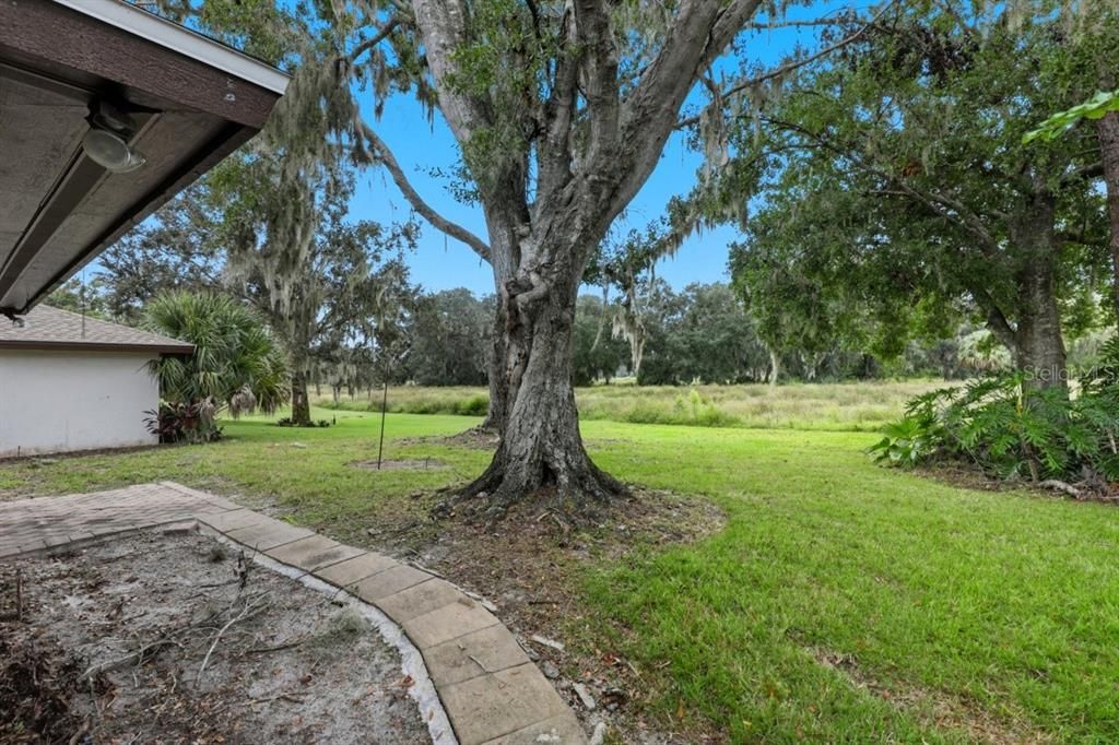 Под контрактом: $240,000 (2 спален, 2 ванн, 1793 Квадратных фут)