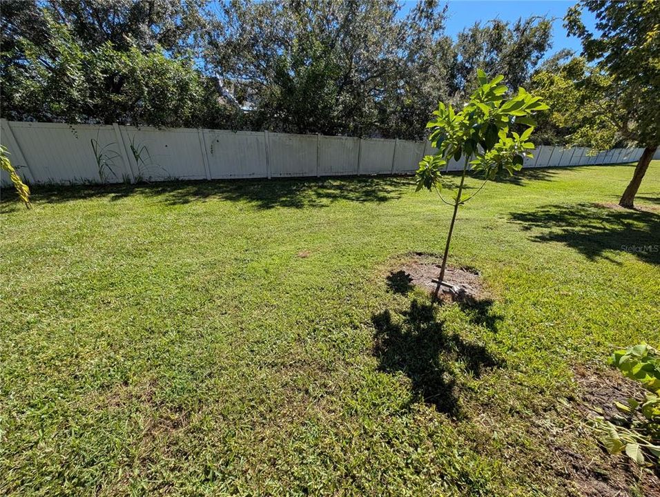 For Rent: $2,500 (3 beds, 2 baths, 1686 Square Feet)