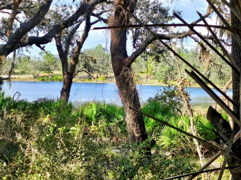 待售: $55,000 (3.30 acres)