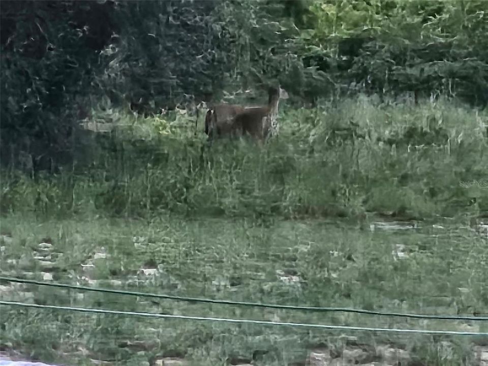 待售: $55,000 (3.30 acres)