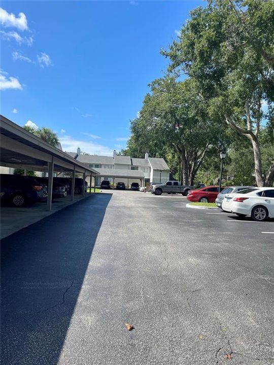 合同活跃: $110,000 (2 贝兹, 2 浴室, 1139 平方英尺)