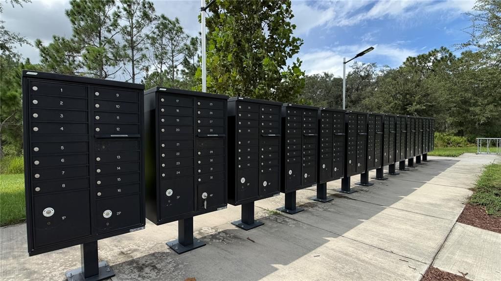 For Rent: $2,200 (4 beds, 2 baths, 2417 Square Feet)