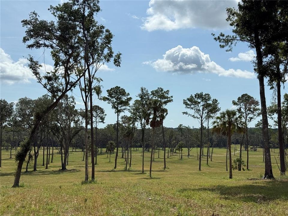 For Sale: $538,200 (23.92 acres)