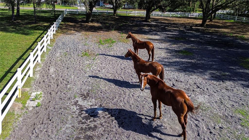 For Sale: $1,100,000 (5 beds, 5 baths, 3980 Square Feet)