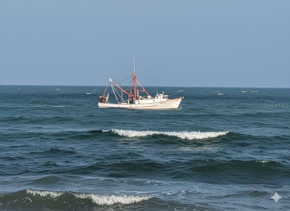 待售: $449,900 (1 贝兹, 1 浴室, 740 平方英尺)